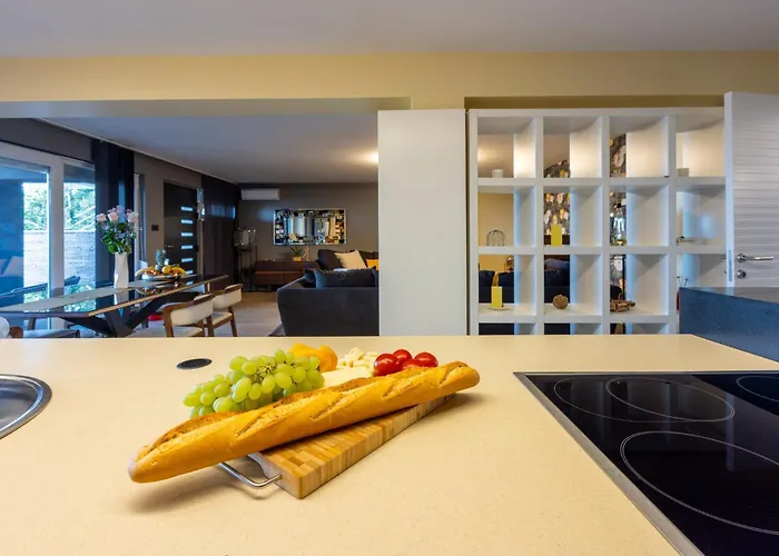 Panoramica With Whirlpool 公寓 茨里克韦尼察